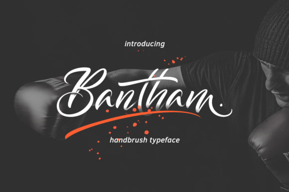 Bantham Font: Elevating Web Design with Handwritten Charm