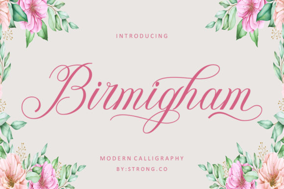 Birmigham: A Designer’s Honest Take on Script Amp’s Latest