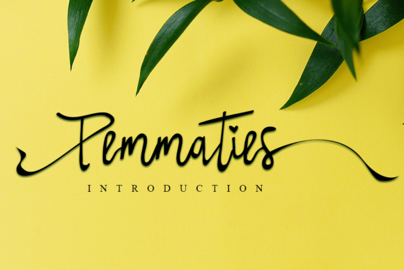 Pemmaties: A Handwritten Font for Modern Campaigns