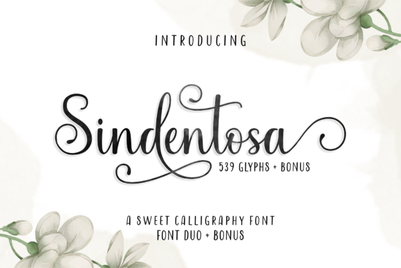 Sindentosa Font Review: A Soft Script for Branding